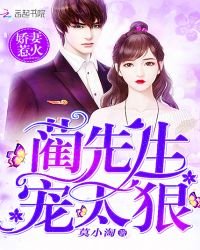 嬌妻惹火：藺先生，寵太狠！